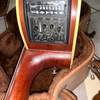 2003 Takamine EAN40C-12, Natural, Cool Tube image 8