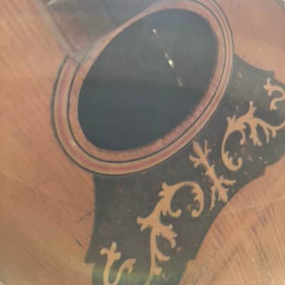 American Conservatory, Lyon & Healy Bowl Back Mandolin image 8