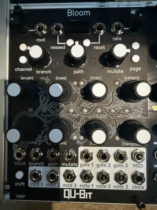 Qu-Bit Electronix Bloom v2