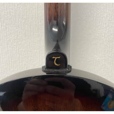 Tanglewood 5 String Union Series TB24 Select-5 Closed Back Banjo Pre-Owned image 23