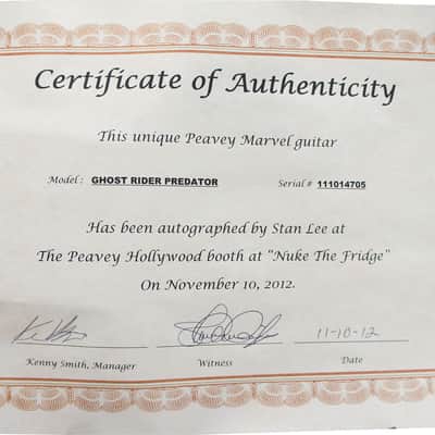 Peavey Marvel Ghost Rider Predator Electric Guitar Signed by Stan Lee with Certificate of Authenticity (Serial 111014705) image 4