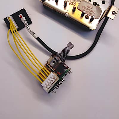 Epiphone Quick Connect Adapter for Gibson Pickups image 7