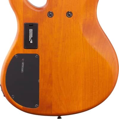 Yamaha TRBX605FM 5-String Bass Guitar, Rosewood Fingerboard, Matte Amber image 3
