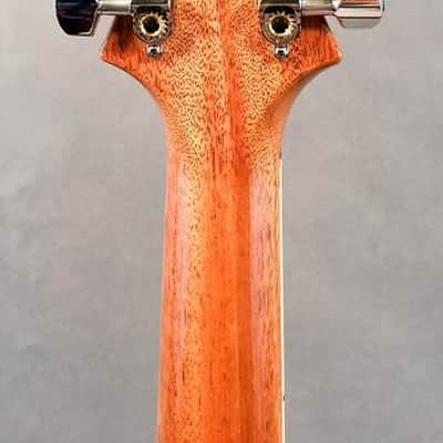 PRS P245 Semi-Hollow w/Piezo Electric Guitar image 5