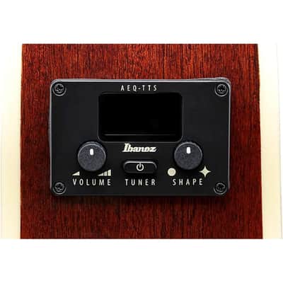 Ibanez AEGA250 USA 250th Anniversary Grand Auditorium Acoustic-Electric Guitar - America 250 image 7