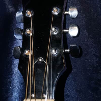 Epiphone FT-100CENA image 23