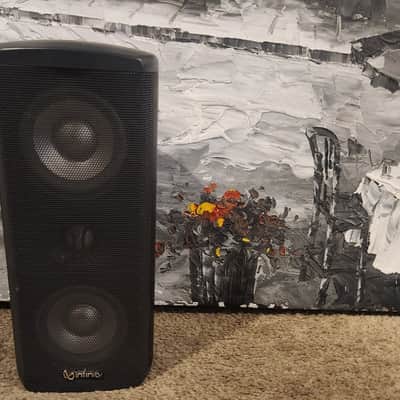 Infinity Infinity SAT 1100 speaker 1 speaker image 1