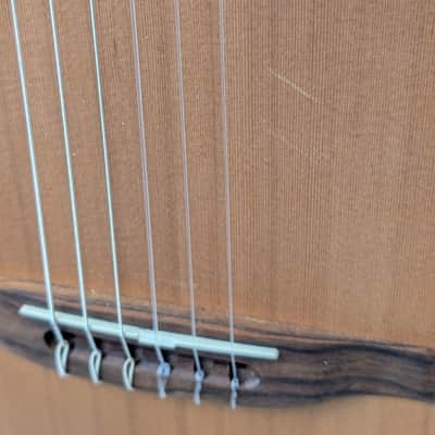 Godin Multiac Encore Nylon String Performance Guitar Semi-Gloss w/Bag image 4