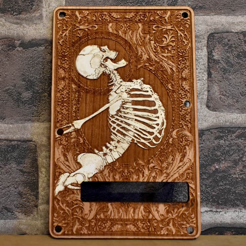 Stratocaster Tremolo Backplate image 1