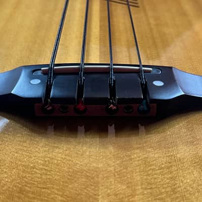 Washburn AB-20  90's Gloss Natural Wood With Hard Case image 13