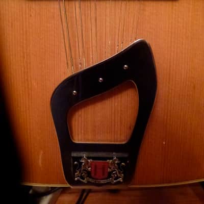 Vintage 1975 Hagstrom H-33 ( BJ-12) 12-string Acoustic Guitar image 15