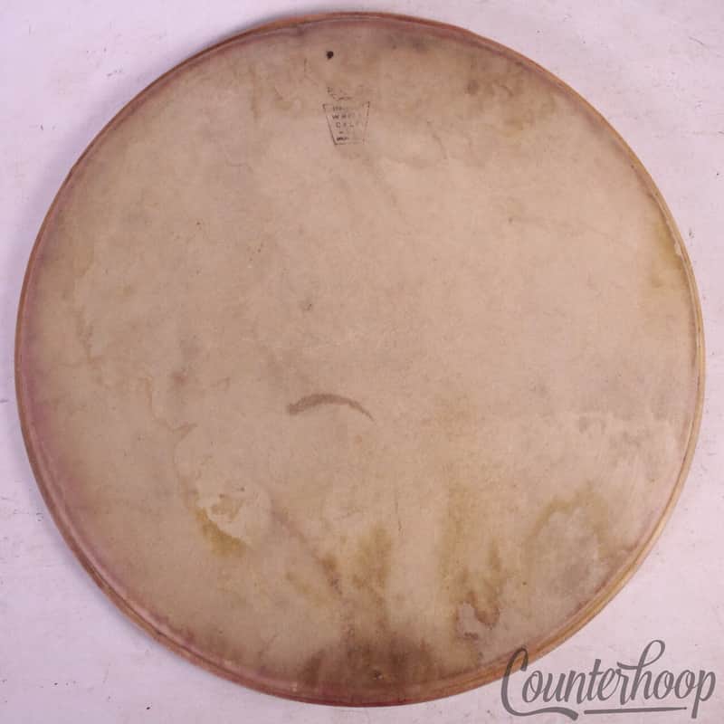 *WFL Double Strength 15" White Calf Skin Drum Head Vintage 50s Ludwig Snare/Tom* image 1