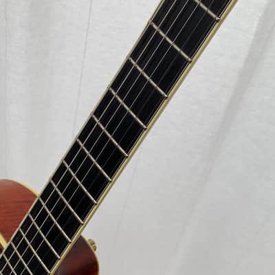Eastman AR810CE – 2010 image 13
