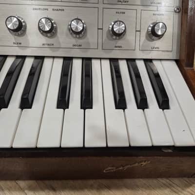 Dewtron Gipsy Synth Synthesizer- For Collectors Only 1972 image 11
