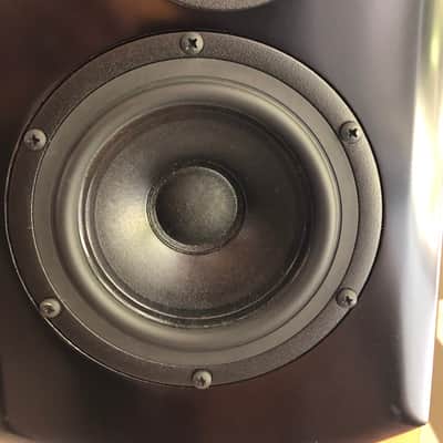 Salk SongTower QWT  Speakers image 7