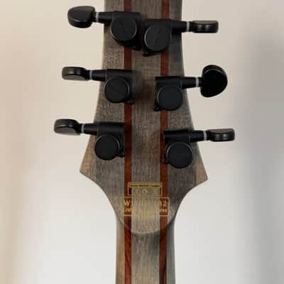 Schecter C-1 Apocalypse 2017 - 2019 - Rusty Grey image 5