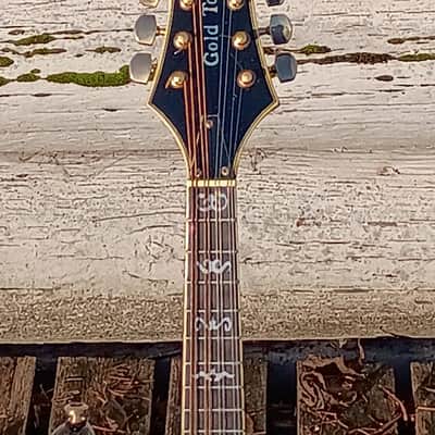 Gold Tone GM-110 Rigel Mandolin 2010s - Tobacco Sunburst image 3