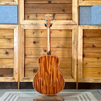 Taylor Gold Label 514e - Sunburst with Firestripe Pickguard image 8