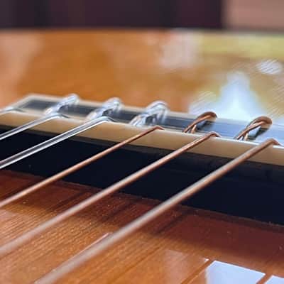 Yamaha GC82 Classical Guitar - Exquisite image 6