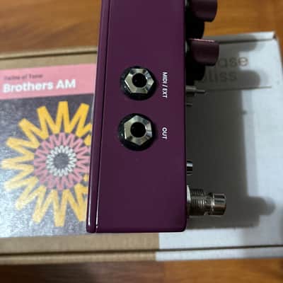 Chase Bliss Audio Brothers AM 2025 - Present - Various image 5