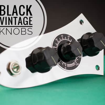 Immagine Abomination. Fender Jazz Bass Blend Harness and Plate - 9