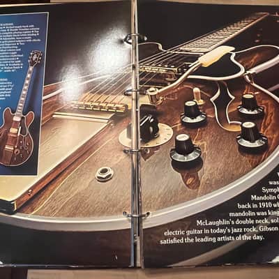 Gibson Damaged Dealer catalog colored cover version 1975 image 15