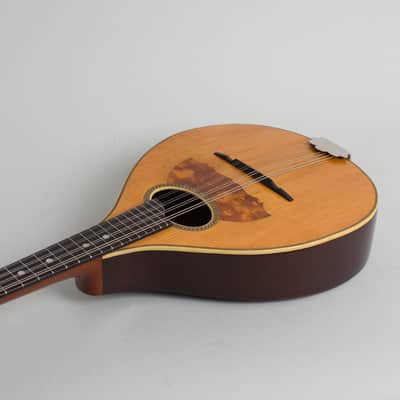 Vega  Style 201 Flat Back, Bent Top Mandolin (1916), ser. #34381, black tolex hard shell case. image 7