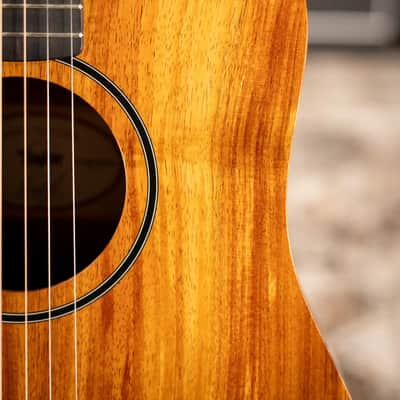 Taylor BTe-Koa Baby Taylor Acoustic/Electric Guitar with Gig Bag image 11