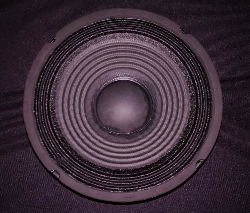 EarCandy Hoosier Cat 8" Guitar speaker 100 watts 8 Ohms Large tone w versatility Hand Made image 1
