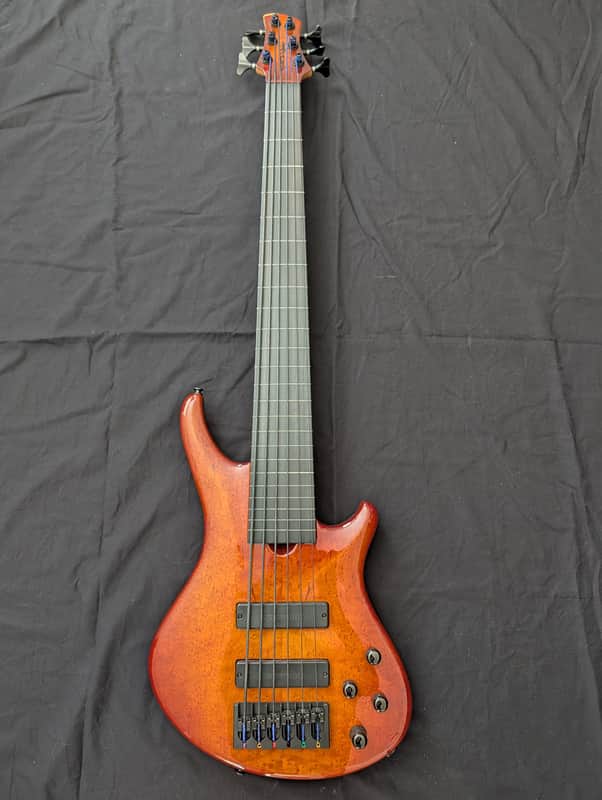 Roscoe SKB 6-string fretless bass image 1