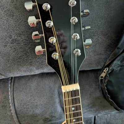 Rover A Style Mandolin w/ New Gig Bag image 5