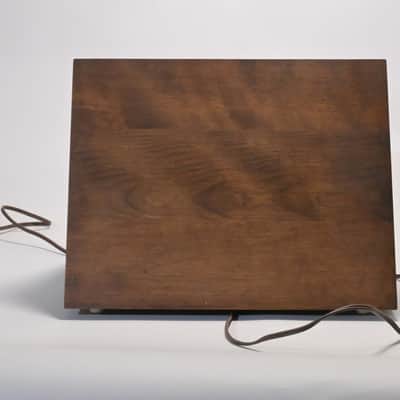 TRIADEX MUSE 1972 with matching Amplifier image 18