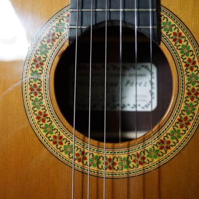 Graciliano Perez Flamenco Negra Guitar image 3