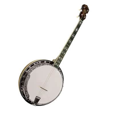 Gold Tone TS-250/L Tenor Special 4-String Banjo w/Hardshell Case For Left Handed Players - (B-Stock) image 4