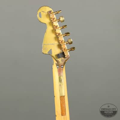 Roger Fisher's Custom "LED" Stratocaster image 11