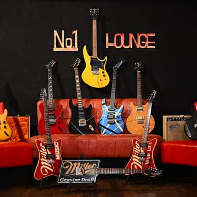 Hamer Sunburst from 1979 in Natural with original Hardcase image 9