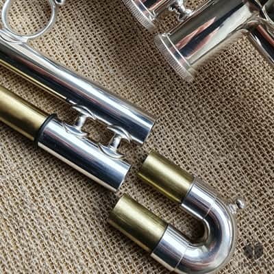 D. Calicchio DT-S1s/3M Dave TRIGG Model | Gamonbrass trumpet image 17