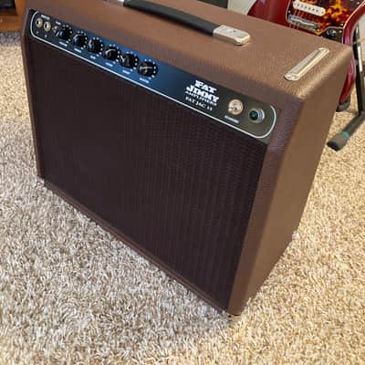 Fat Jimmy - FAT JAC 15 Combo Amp (Vox AC15 Circuit) imagen 14