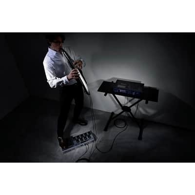 Roland AE-30 Aerophone Pro Regular image 8