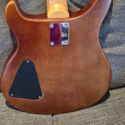 PRS Style 2026 - Amber - Brown sunburst image 3