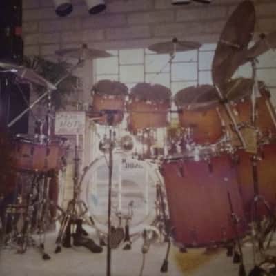 Sonor - Steve Smith's Journey, 1981 Horst Link Signature Series, 9-Piece Set with Custom Paul Jamieson Snare,  Authenticated! image 12