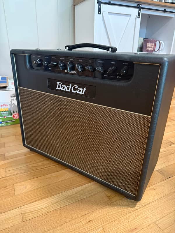 Bad Cat Black Cat Handwired Series 2-Channel 20-Watt 1x12" Guitar Combo 2022 - Present - Black image 1
