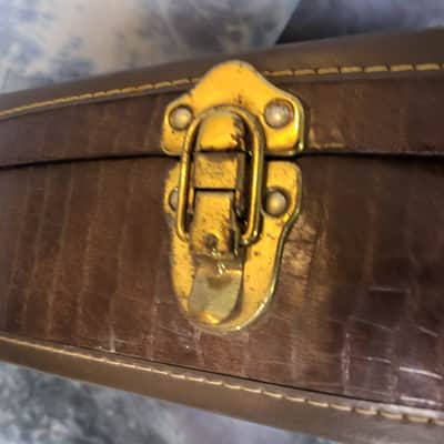 Vintage 1977 D'Andrea Z Explorer Alligator Look Soft Shell Guitar Case Warranty Card Candy image 6
