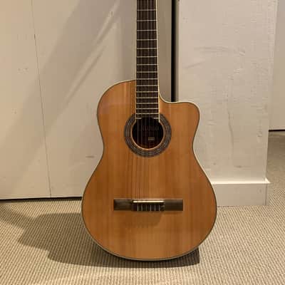 Hofma Classical Guitar 2012 with inboard preamp/tuner - Spruce/Rosewood image 1