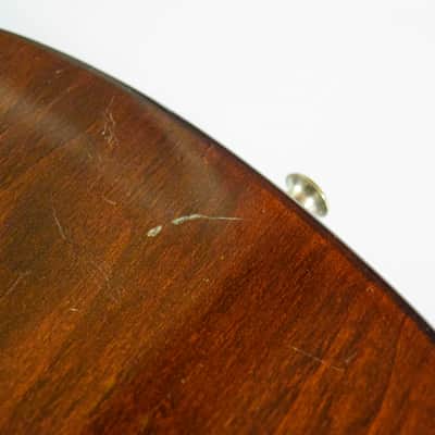 Epiphone SC-450 Scroll 1976 - 1979 - Walnut image 13