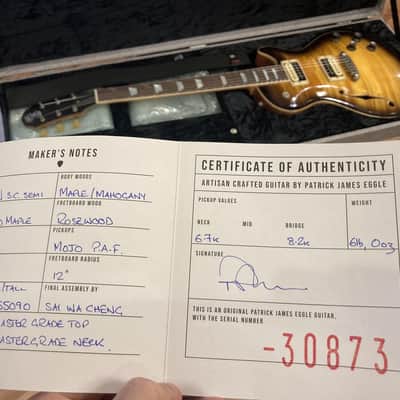 Patrick James Eggle Macon Single Cut Semi Hollowbody - Nitro Tobacco Burst image 20