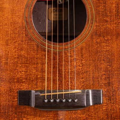 Daion Year Series '79 Brown Acoustic Six String image 4