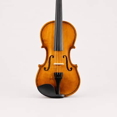 1/4 Size Beginner Acoustic Violin Outfit – Complete Student Violin Set with Hard Case, Bow, Shoulder Rest, Rosin, Extra Strings & Mute image 3