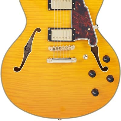 D'Angelico DAEDCVNATGS EXCEL DC Double Cutaway Semi-Hollow Body 6-String Electric Guitar w/Deluxe Hardshell Case image 5