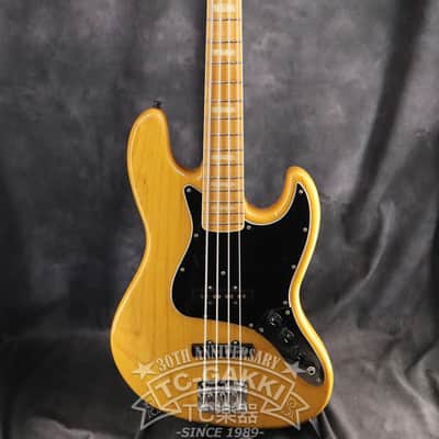 Fujigen(FGN) 2009 NCJB-10 image 2